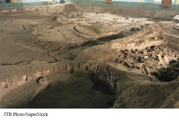 <strong>Which feature of the remains of the Neolithic-era Village at Banpo, pictured in Global Viewpoints, is indicative of this community's sedentary nature? </strong> A) The close proximity of the pits in relation to one another B) The uneven depth of the pits C) The relatively small number of pits D) The existence of storage pits
