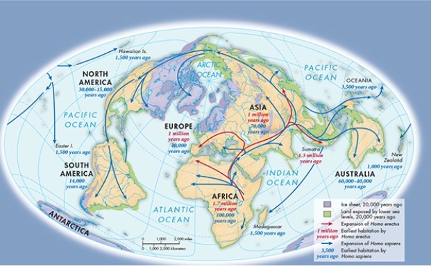 <strong>According to Map 1.1, Human Migration in the Paleolithic and Neolithic Eras, low sea levels were likely what enabled Homo sapiens to migrate into which part of the world? </strong> A) North America B) South America C) Europe D) Northern Asia