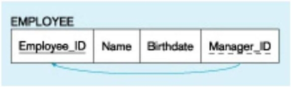 <strong>In the figure below, what type of key is depicted? </strong> A) Primary B) Recursive primary C) Composite D) Recursive foreign