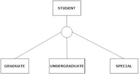The following figure is an example of total specialization.