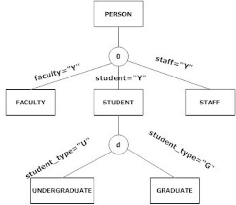 The following diagram is an example of a supertype/subtype hierarchy.