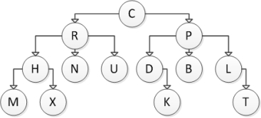 <strong>Consider the following tree diagram: Which of the following nodes are interior nodes?</strong> A) C B) N C) C and P D) C, N, and P