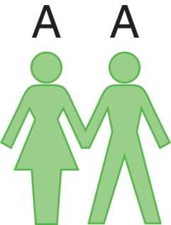 <strong>What type of blood can the offspring of the parents depicted here have? </strong> A) Type A only B) Type A and O C) Type A, B, and O D) All blood types are possible because this only give us the phenotypes, not the specific genotypes
