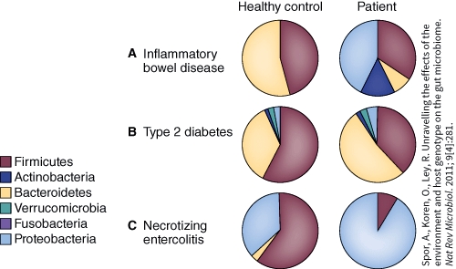 <strong>Healthy controls consistently have more of which bacteria than unhealthy patients.  </strong> A) Firmicutes B) Actinobacteria C) Proteobacteria D) Fusobacteria <div style=padding-top: 35px> 