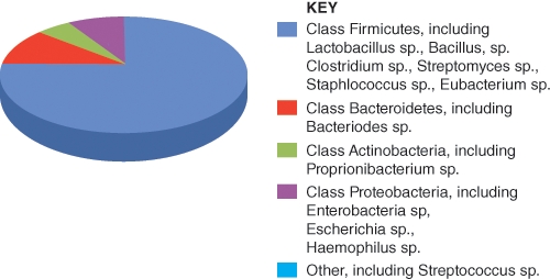 The image shown here illustrates the microbial makeup of an individual who is _________________.  <div style=padding-top: 35px> 