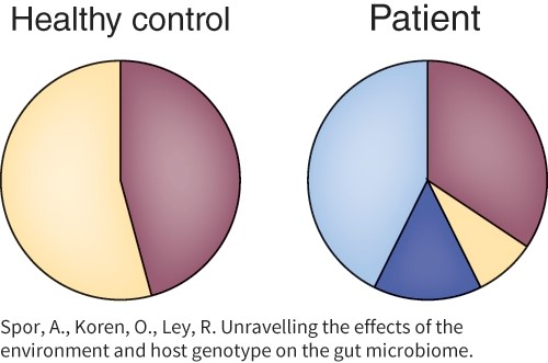 Based on the composition of the GI microbiome in this image, what is wrong with the patient?  <div style=padding-top: 35px> 