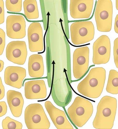 What does this diagram represent?