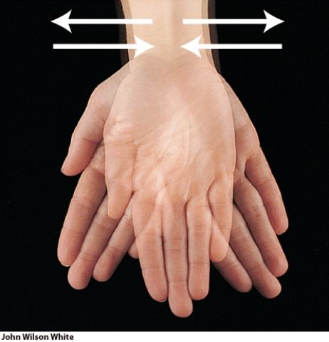 <strong>Which type of joint permits this type of movement? </strong> A) synovial B) cartilaginous C) fibrous D) both synovial and cartilaginous E) both cartilaginous and fibrous