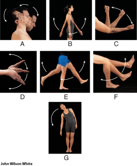 <strong>Which of the following shows a movement only seen in the intervertebral joints? </strong> A) B B) F C) G D) D E) A