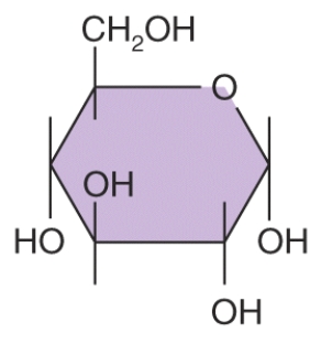 <strong>How many carbons are in this structural formula?  </strong> A) 1 B) 2 C) 4 D) 6 E) 9 <div style=padding-top: 35px> 