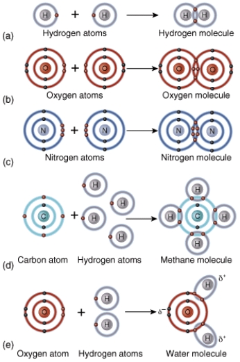 Give a brief description of what rule this diagram represents.  <div style=padding-top: 35px> 