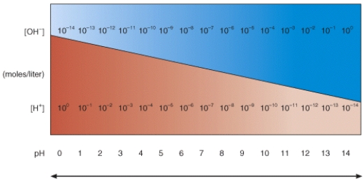 <strong>In the diagram, which pH value represents an acidic solution?  </strong> A) 12 B) 10 C) 8 D) 6 E) None of these choices <div style=padding-top: 35px> 