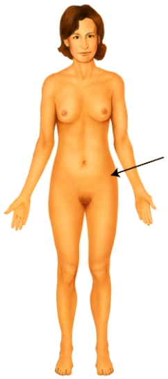 <strong>Which of the following anatomical terms best describes the indicated region? </strong> A) mental B) popliteal C) antecubital D) olecranal E) coxal