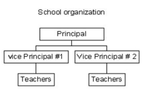 <strong>Which of the following pictures is a network diagram?</strong> A) Steps to choosing a science major B) C) D) Students' Academic Majors