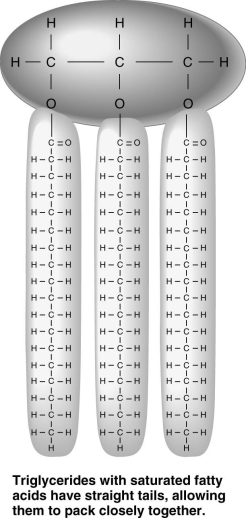 The accompanying figure shows a triglyceride that contains unsaturated fatty acids.
