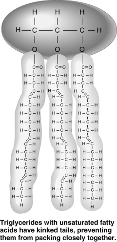 The accompanying figure shows a triglyceride that is liquid at room temperature.