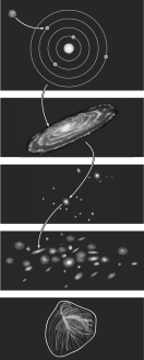 <strong>According to the figure below, if you were to specify your address in the universe, listing your membership from the smallest to largest physical structures, it would be </strong> A) Earth, Local Group, Solar System, Andromeda, the universe. B) Earth, Solar System, Local Group, Milky Way, the universe. C) Earth, Solar System, Milky Way, Local Group, Laniakea Supercluster, the universe. D) Earth, Solar System, Milky Way, Laniakea Supercluster, the universe. E) Earth, Laniakea Supercluster, Milky Way, Solar System, the universe.
