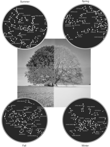 <strong>The figure below shows the night sky as it appears to an observer in the United States at the same time of the night but at four different seasons of the year.A reasonable conclusion that can be drawn from these images is that </strong> A) the stars move about the sky randomly. B) the stars appear to rotate over the course of a year. C) the night sky is always the same. D) there are only four possible configurations of stars in the sky. E) the position of the stars changes the temperature of the Earth.