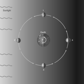 <strong>In the figure below, at which position must the Moon be located in order for a lunar eclipse to occur?  </strong> A) 1 B) 2 C) 3 D) 4 E) None of these is correct. <div style=padding-top: 35px> 
