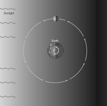 Based on the location of the Moon shown in the figure below, draw a picture of how the moon would appear to an observer located on Earth.