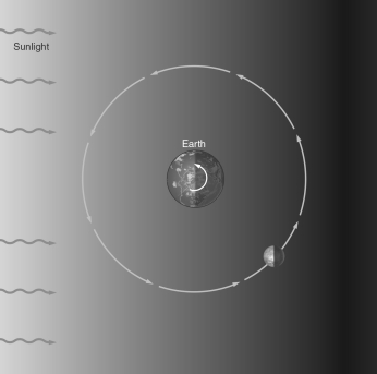 Based on the location of the Moon shown in the figure below, draw a picture of how the Moon would appear to an observer located on Earth.