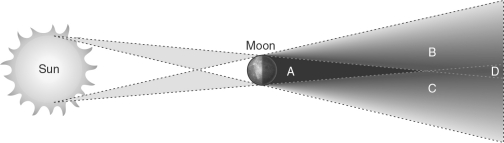 Explain the type of solar eclipse that would be observed by an observer on Earth if they were in each respective part (A, B, C, and D) of the shadow of the moon, as shown in the figure below.