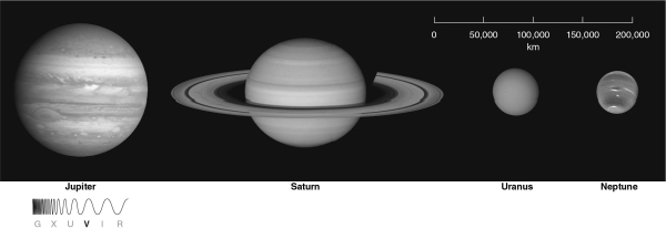 <strong>In the figure below, Uranus and Neptune do not have bands as distinct as those on Jupiter and Saturn.This is because Uranus and Neptune </strong> A) have wind speeds that vary more smoothly with latitude than the winds of Jupiter or Saturn. B) are composed entirely of hydrogen and helium and lack more complex molecules. C) are much closer to the Sun and much colder. D) rotate 10 times slower. E) have larger masses.
