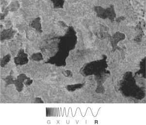 <strong>In the figure below showing Titan's surface, reflections off of dark surface features are strong evidence that these features are </strong> A) dried lava flows. B) recent impact craters. C) large sheets of frozen water ice. D) composed of liquids. E) a rocky material different from that of the lighter-colored surface.