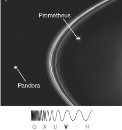 <strong>The kinks in Saturn's F Ring, shown in the figure below, are caused by </strong> A) Saturn's magnetic field. B) the gravitational influence of the two pictured moons. C) regions of dark dust and rocks in the ice ring. D) comets or asteroids that had plunged through the rings in the past. E) proximity to Saturn's Roche limit.