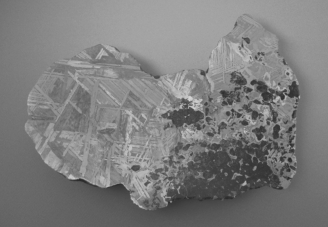 <strong>The meteorite in the figure below most likely originated in a(n) </strong> A) S-type asteroid. B) C-type asteroid. C) M-type asteroid. D) active comet. E) inactive comet.