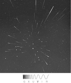 <strong>Identify the phenomenon shown in the figure below. </strong> A) an active comet B) a meteor shower C) a meteorite D) an asteroid E) zodiacal dust
