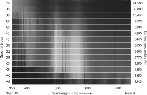 The sequence of stellar spectral types is shown in the figure below.Explain why the hottest star (O5) has so little emission in the visible portion of the spectrum (450-700 nm), spectral types F-K show the most emission in the visible band, and still cooler stars (M type) once again show very little in the visible band.