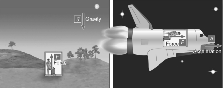 <strong>In the figure below, the astronaut cannot tell the difference between the two situations due to  </strong> A) conservation of energy. B) equivalence of inertial reference. C) conservation of angular momentum. D) the equivalence principle. E) gravitational lensing. <div style=padding-top: 35px> 