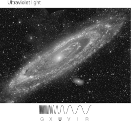 <strong>The figure shown below immediately reveals that </strong> A) disk material concentrates along the spiral arms but is completely absent between the arms. B) spiral arms are sites where ongoing star formation happens efficiently. C) disk galaxies do not contain any red, old stars. D) the space between spiral arms must be filled with thick layers of invisible dark matter. E) star formation happens only in the spiral arms of galaxies without bars.