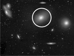 <strong>The figure below shows a small section of the Virgo Cluster.The indicated galaxy can be classified as </strong> A) elliptical. B) peculiar. C) dwarf. D) ultrafaint. E) quasar.