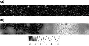 <strong>Panel (b) of the figure below shows the enhanced infrared glow obtained after nearby stars and galaxies are subtracted from a standard Spitzer Space Telescope exposure.Scientists ascribe this faint signature to </strong> A) the CMB. B) the first stars and galaxies formed. C) GRBs and quasars. D) supernovae. E) our Sun.