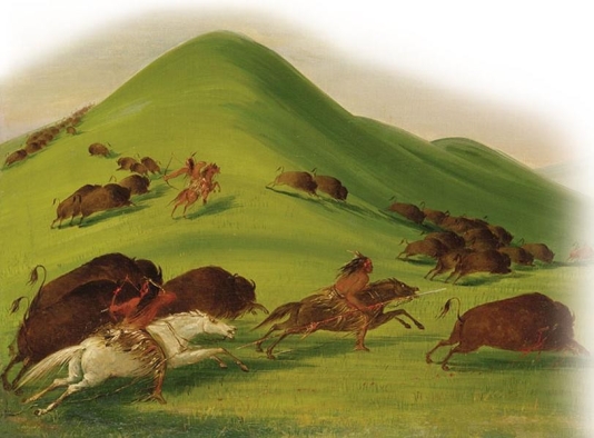 <strong> What did artist George Catlin imply about the Plains Indians through his 1844 painting Buffalo Chase over Prairie Bluffs?</strong> A) The Plains Indians remained in relative isolation up through the early nineteenth century. B) Horsemanship and buffalo hunts were activities that Plains Indians could do with relatively little skill. C) Migratory Plains tribes were inferior to the sedentary ones and resorted to hunting buffalo in order to survive. D) The advantages of the horse and buffalo made migratory tribes the dominant powers on the Great Plains.