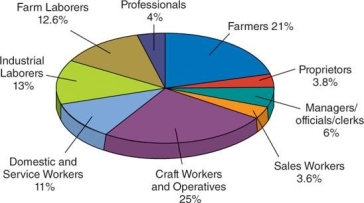 <strong> What was the likely relationship between Progressive values and the occupations of most Americans, as seen in the pie chart?</strong> A) The middle-class values of Progressives may not have reflected those of a largely working- class America. B) The mainstream values of Progressives may not have reflected those of a largely immigrant population. C) The elitist values of Progressives may not have reflected those of the large portion of Americans who had to work for a living. D) The idealistic values of Progressives may not have reflected those of workers striving to make more money.
