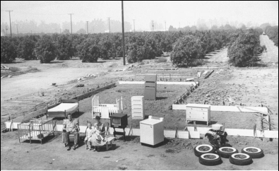 <strong> These two 1955 photographs of a suburban middle-class family called What They Have vs. What They Own featured in Life magazine demonstrate that American families .</strong> A) moved to suburbs in great numbers B) relied heavily on credit to maintain affluent lifestyles C) were made up of a white-collar working father and a stay-at-home mother D) benefitted greatly from New Deal and Fair Deal programs