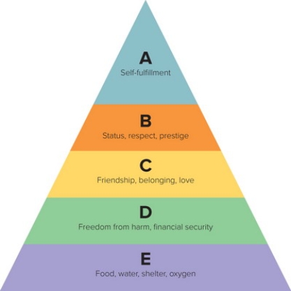 Figure 5-6 -According to Figure 5-6 above, B defines what level in the Maslow hierarchy of needs?