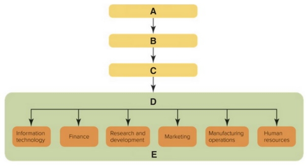 Figure 2-1 -In Figure 2-1 above, D represents the ________ of an organization that is comprised of individual departments.