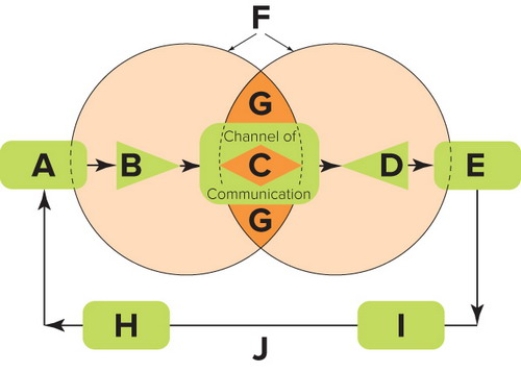 <strong> Figure 18-1 -Figure 18-1 above depicts the communication process, which consists of 10 key elements (Boxes A through J). The positions labeled H and I are referred to as</strong> A) encoding and decoding. B) the message and noise. C) the fields of experience and noise. D) feedback and response. E) the message and feedback.