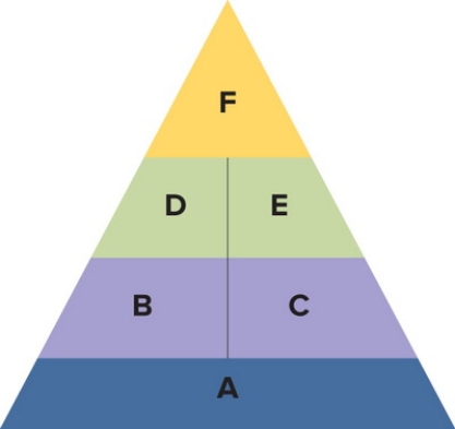 Figure 11-6 -Figure 11-6 above shows the sequential process of building brand equity. The third step is to elicit the proper consumer responses to a brand's identity and meaning. This step consists of two dimensions, D and E, which represent