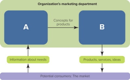 <strong> Figure 1-3In Figure 1-3, A represents ________ and B represents</strong> A) decisions by management; purchases by customers B) employees efforts; stakeholder rewards C) sales department; manufacturing department D) suppliers; distributors E) discovering consumer needs; satisfying consumer needs