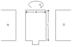 <strong>A rectangular loop of wire that can rotate about an axis through its center is placed between the poles of a magnet in a magnetic field with a strength of 0.40 T, as shown in the figure. The length of the loop L is 0.16 m and its width w is 0.040 m. What is the magnetic flux through the loop when the plane of the loop is perpendicular to the magnetic field? </strong> A)13 × 10<sup>-3</sup> T ∙ m<sup>2</sup> B)2.6 × 10<sup>3</sup> T ∙ m<sup>2</sup> C)0.80 T ∙ m<sup>2</sup> D)2.6 × 10<sup>-3</sup> T ∙ m<sup>2</sup> E)0 T ∙ m<sup>2</sup>