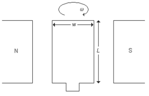<strong>A rectangular loop of wire that can rotate about an axis through its center is placed between the poles of a magnet in a magnetic field with a strength of 0.40 T, as shown in the figure. The length of the loop L is 0.16 m and its width w is 0.040 m. What is the magnetic flux through the loop when the plane of the loop is parallel to the magnetic field? </strong> A)13 × 10<sup>-3</sup> T ∙ m<sup>2</sup> B)2.6 × 10<sup>3</sup> T ∙ m<sup>2</sup> C)0.80 T ∙ m<sup>2</sup> D)2.6 × 10<sup>-3</sup> T ∙ m<sup>2</sup> E)0 T ∙ m<sup>2</sup>