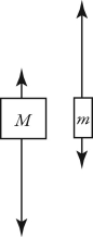 <strong>Two unequal masses M and m (M > m) are connected by a light cord passing over a pulley of negligible mass, as shown in the figure. When released, the system accelerates. Friction is negligible. Which figure below gives the correct free-body force diagrams for the two masses in the moving system? </strong> A) B) C) D)