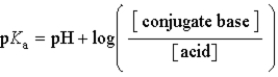 <strong>Which of the following mathematical expressions is the Henderson-Hasselbalch equation?</strong> A) B) C) D) E)