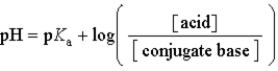 <strong>Which of the following mathematical expressions is the Henderson-Hasselbalch equation?</strong> A) B) C) D) E)