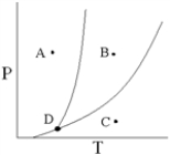 Point D on the phase diagram is referred to as the _____ point.